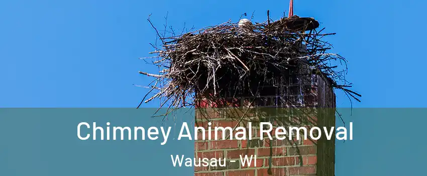 Chimney Animal Removal Wausau - WI
