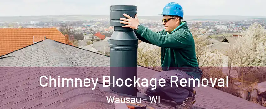  Chimney Blockage Removal Wausau - WI