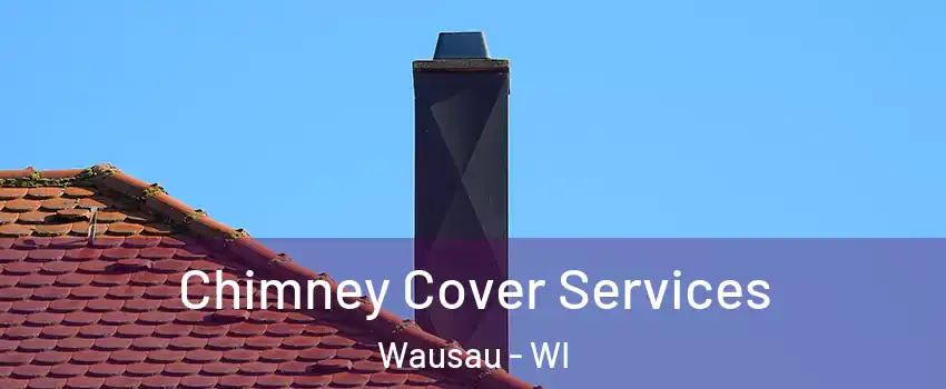  Chimney Cover Services Wausau - WI