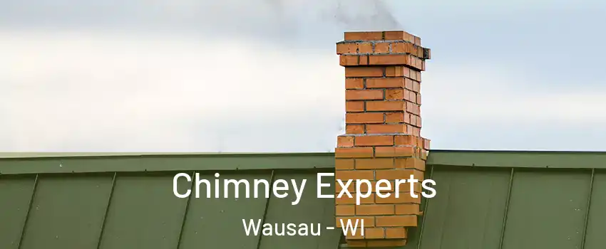 Chimney Experts Wausau - WI