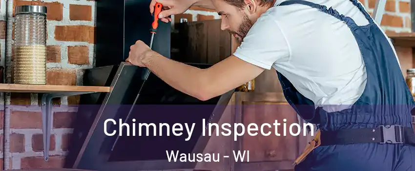  Chimney Inspection Wausau - WI