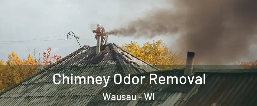  Chimney Odor Removal Wausau - WI