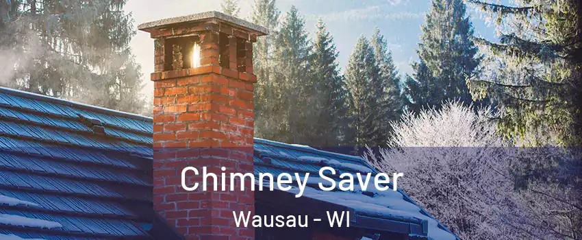  Chimney Saver Wausau - WI