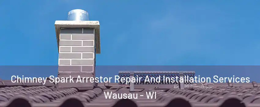  Chimney Spark Arrestor Repair And Installation Services Wausau - WI