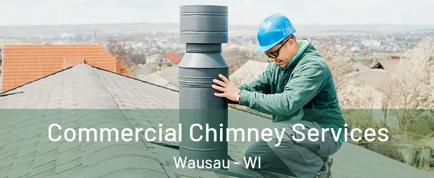  Commercial Chimney Services Wausau - WI
