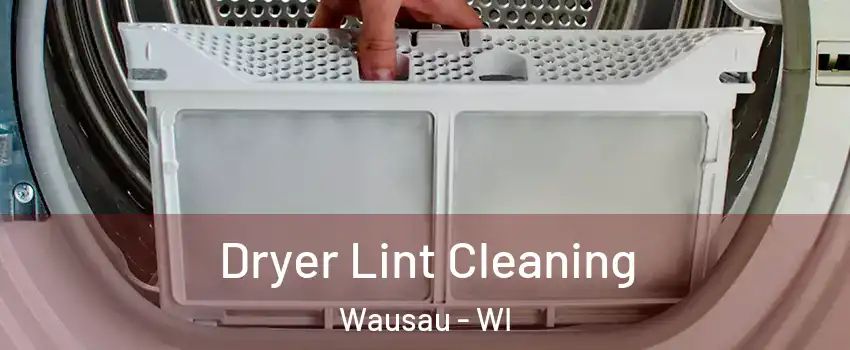  Dryer Lint Cleaning Wausau - WI