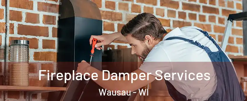 Fireplace Damper Services Wausau - WI