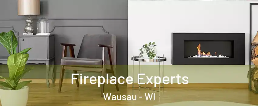  Fireplace Experts Wausau - WI