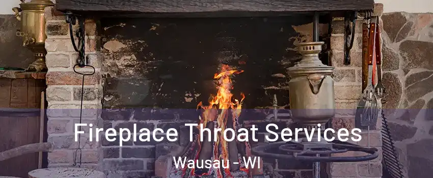  Fireplace Throat Services Wausau - WI