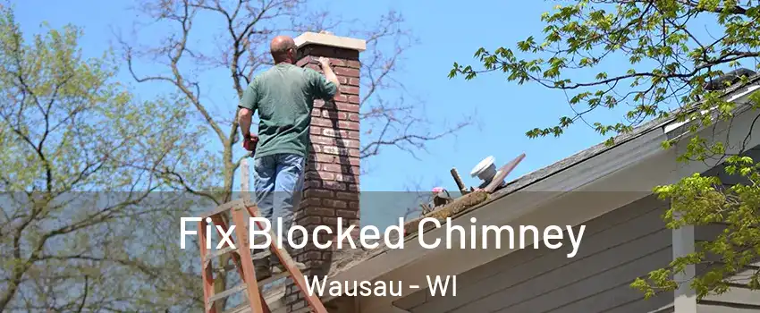  Fix Blocked Chimney Wausau - WI