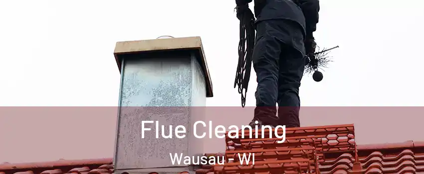  Flue Cleaning Wausau - WI