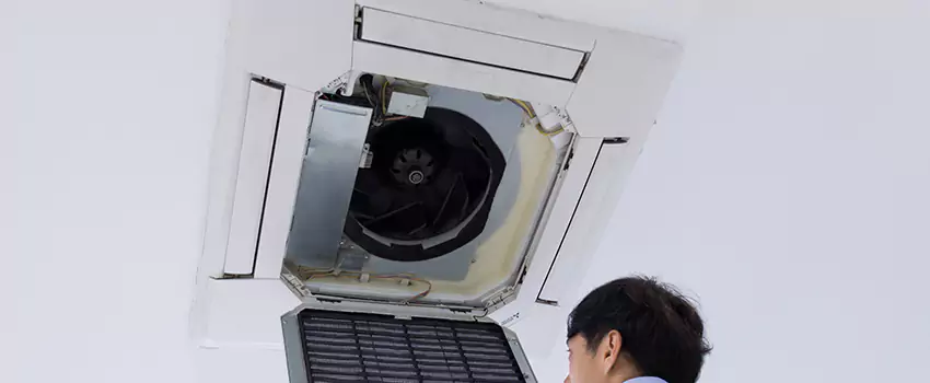 Benefits of Professional Air Duct Cleaning in Wausau, Wisconsin