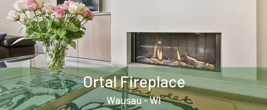 Ortal Fireplace Wausau - WI